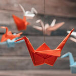 Envol de grues